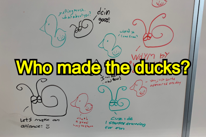 thumbnail for The Mystery Of The Whiteboard Ducks