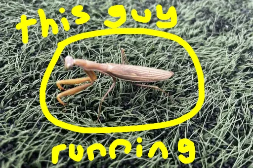 Thumbnail for Lincoln's Running Routes DEBUNKED