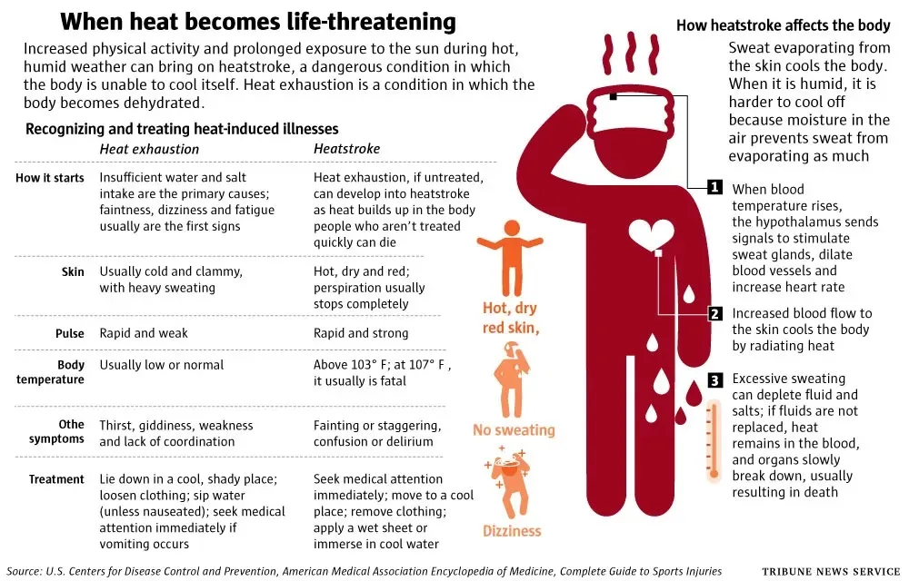 graphic about heat waves