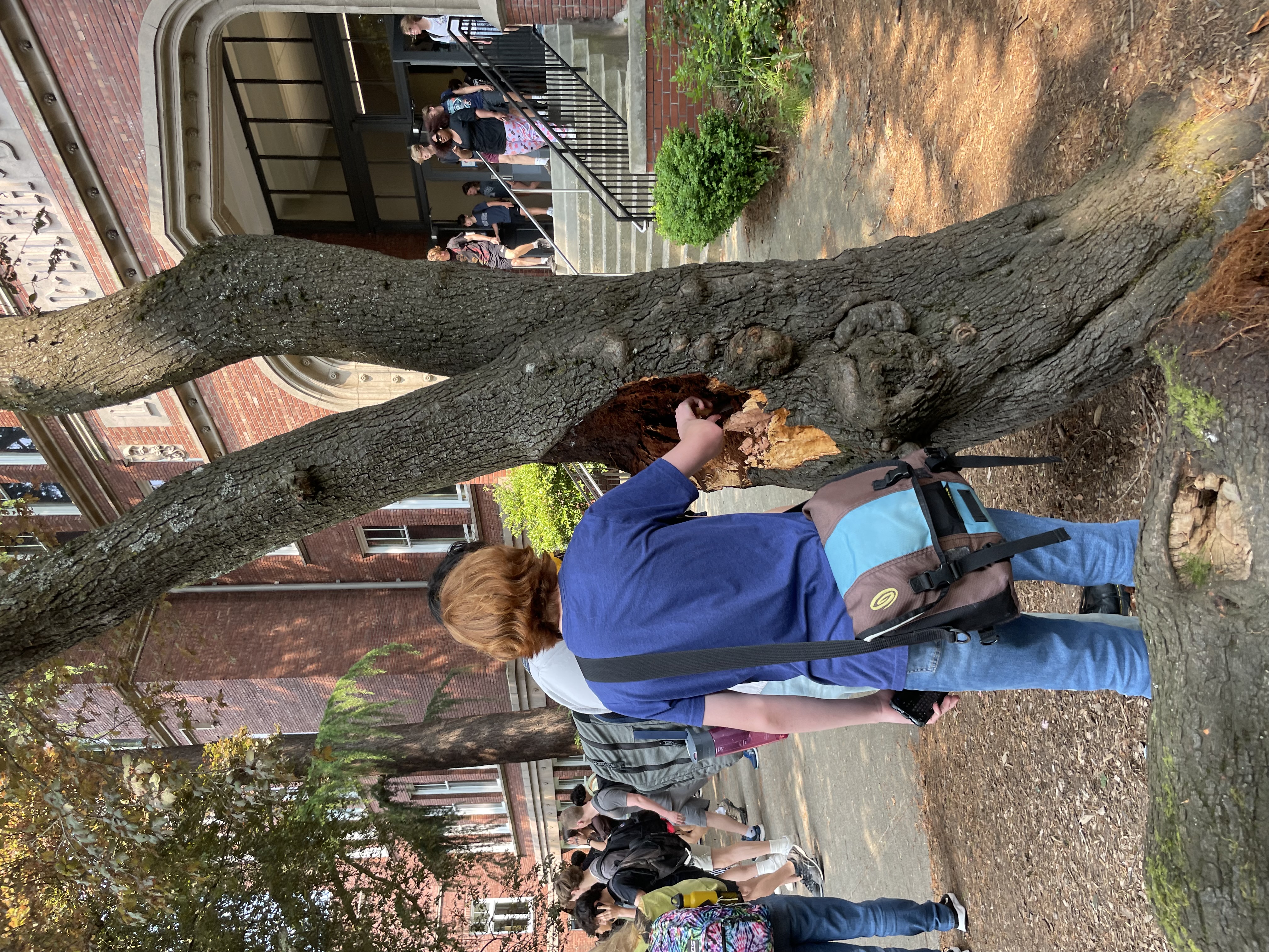 students with tree